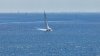 I Regata Gran Canaria-Fuerteventura , &quot; Alpispa 2 &quot; se impone y &quot; Sorcery &quot; firma el crono más rápido en la travesía