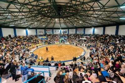 La Luchada Institucional pone el broche de oro a la Semana Canaria de Deportes Aut&oacute;ctonos