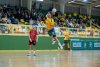 El Balonmano G&aacute;ldar Gran Canaria supera al Ca&ntilde;iza (24-22) (V&iacute;deo del partido)