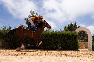 Domingo de carreras de caballos en Valleseco