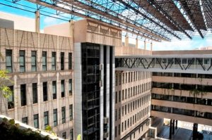 El Hospital Dr. Negr&iacute;n realiza el seguimiento activo de m&aacute;s de 350 pacientes diagnosticados de lupus