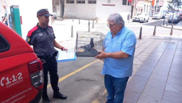 La Policía Canaria inicia una campaña de vigilancia y detección del tráfico ilegal de especies en Gran Canaria