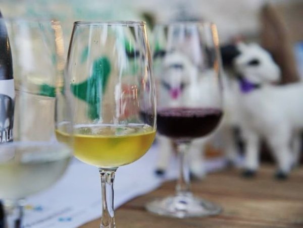 Se convocan ayudas POSEI a la transformación, embotellado y comercialización exterior de vinos con DOP