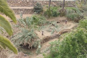 La Gomera: El Cabildo avanza en los trabajos de eliminación de material combustible en los barrancos del Ingenio y Macayo