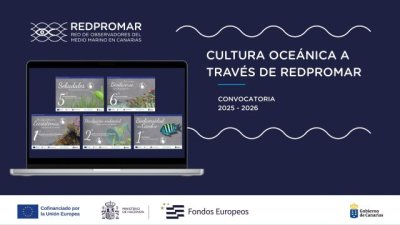 Transición y Educación animan a los centros educativos a inscribirse en el proyecto ‘Cultura oceánica’
