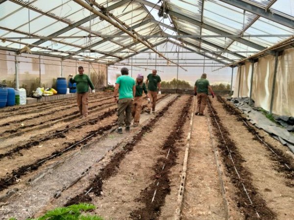 El Cabildo de Gran Canaria impulsa la formaci&oacute;n en jardiner&iacute;a de 9 personas dentro del proyecto Fomento para el Empleo 2025