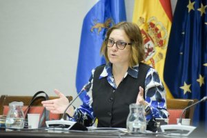 El Gobierno canario ha transferido ya 36,3 millones de euros a los municipios para financiar los servicios sociales