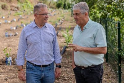 El Bosque de los Recuerdos, en Valleseco, culmina su acondicionamiento gracias a un plan de empleo del Cabildo