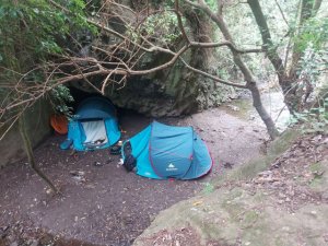 Denuncian la total falta de control en la Reserva Natural Especial de Azuaje