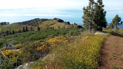 Valleseco descubre la primavera del sur de Gran Canaria con la ruta Pico de La Gorra&ndash;Monta&ntilde;a Las Tierras
