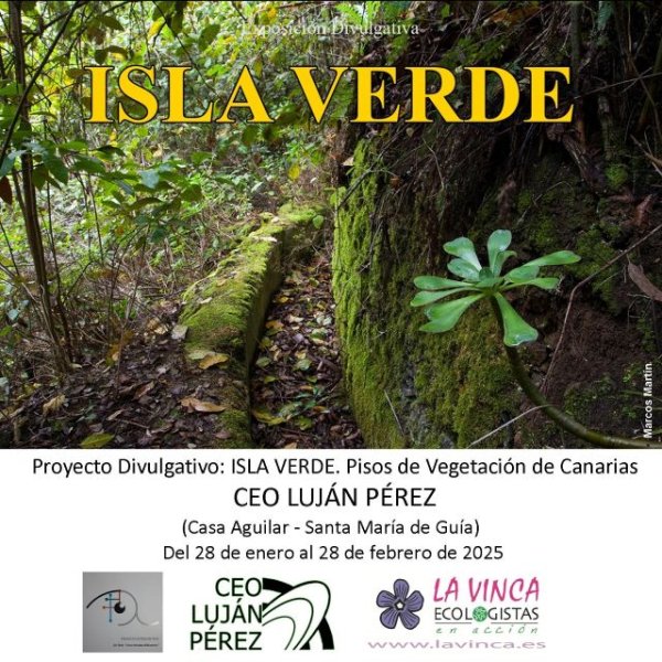 Guía: El CEO. Luján Pérez acoge la Exposición Divulgativa “ISLA VERDE: Pisos de Vegetación de Canarias” hasta finales de febrero