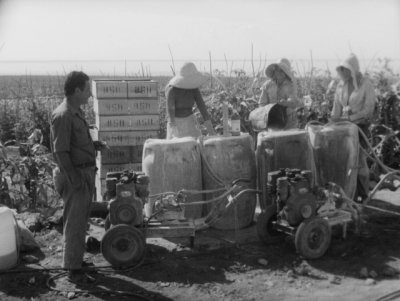 Filmoteca Canaria proyecta &lsquo;Aparceros&rsquo; por el D&iacute;a Mundial del Patrimonio Audiovisual