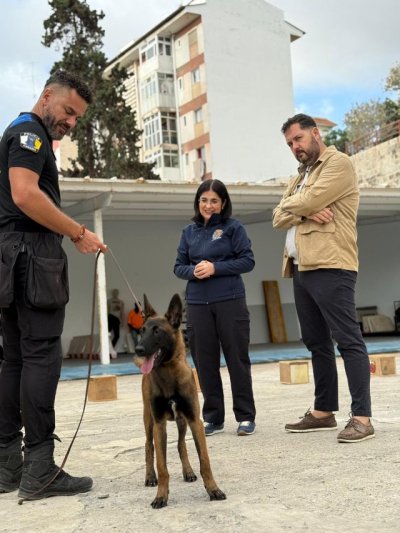 El Grupo de Guías Caninos de la Policía Local, inicia la formación de tres nuevos agentes caninos