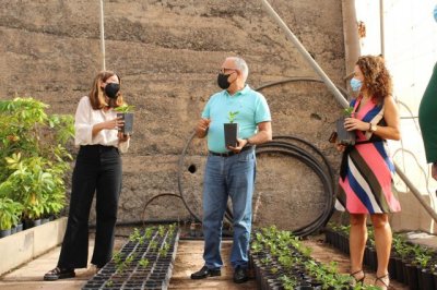 El Cabildo de la Gomera crea el primer semillero de café en la isla