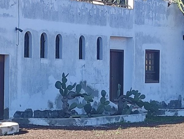 CONTIGO Fuerteventura evalúa el estado de los centros cerrados de la Red de Museos del Cabildo