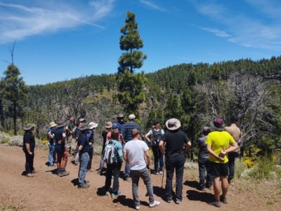 T&eacute;cnicos de La Gomera participan en unas jornadas sobre el uso del pastoreo para prevenir incendios