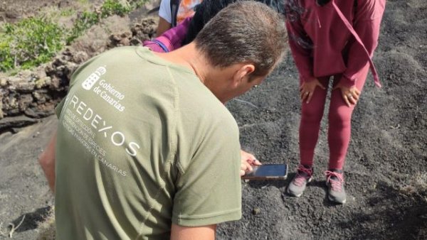 Canarias lanza su maratón de localización de especies invasoras más amplio e internacional