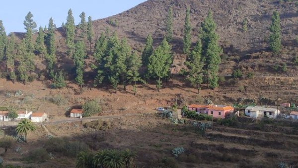 La Gomera: El Cabildo ejecuta trabajos de refuerzo contra incendios en núcleos poblacionales de las medianías