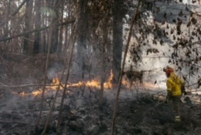 Actualizaci&oacute;n de la situaci&oacute;n del incendio forestal de Tenerife