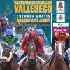 Valleseco: Carreras de caballos en las Fiestas de San Vicente Ferrer (V&iacute;deo)