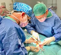 El Hospital General de Fuerteventura realiza la primera cirug&iacute;a de car&oacute;tida