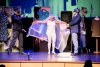 La Compa&ntilde;&iacute;a Teatral G&aacute;ldar roza el lleno en el Guaires