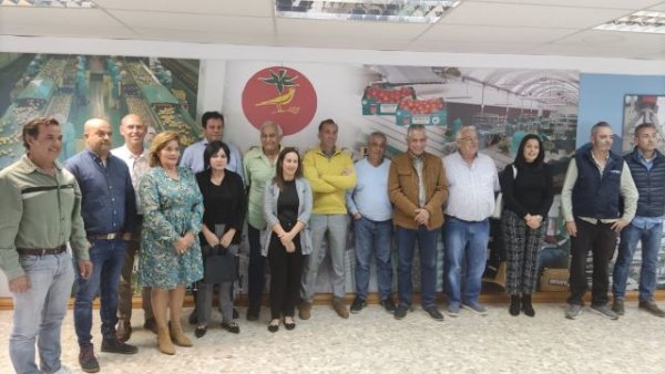 La Aldea: Compromiso económico de la Consejería de Agricultura del Gobierno de Canarias para hacer frente a la plaga del hongo mildiu