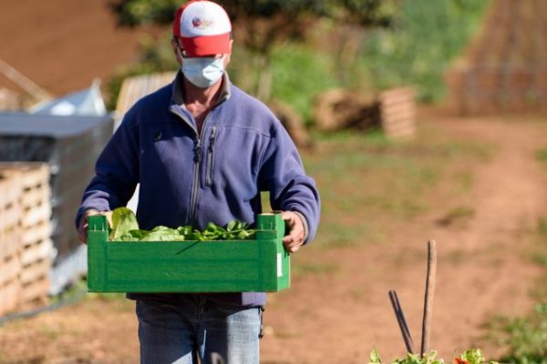 GMR Canarias fortalece la competitividad y capacidad comercial de cooperativas y asociaciones de productores