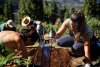 Gran Canaria celebra el D&iacute;a del &Aacute;rbol con unas jornadas de reforestaci&oacute;n en el Monta&ntilde;&oacute;n Negro