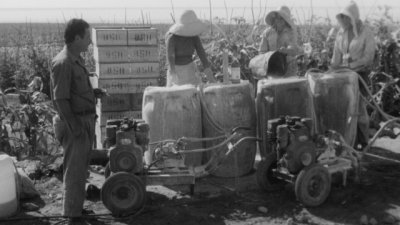 Filmoteca restaura &lsquo;Aparceros&rsquo;, que desvela las duras condiciones de esta labor en Gran Canaria en los setenta