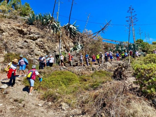 Turcón camina por los barrancos del Valle de Los Nueve