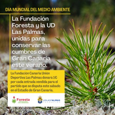 La Fundaci&oacute;n Foresta y la Uni&oacute;n Deportiva Las Palmas a&uacute;nan esfuerzos para mantener las repoblaciones de la cumbre grancanaria