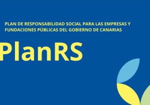 Empresas y fundaciones p&uacute;blicas ya disponen de un modelo adaptado para elaborar su Plan de Responsabilidad Social