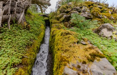Turismo Valleseco cierra la temporada de senderismo con la “Ruta del Agua”