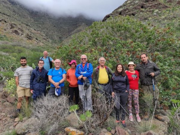 Un grupo de personas participa en la ruta naturalística de Artejévez y contempla el mayor almacigar de Canarias