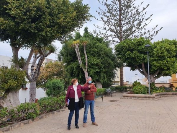 Gáldar: Parques y Jardines renueva las zonas verdes de la Plaza José Mª Rodríguez Quintana de Barrial