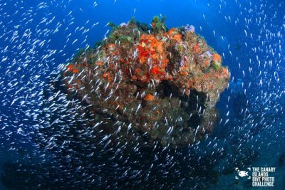 Ciencia e innovaci&oacute;n port&aacute;til para investigar el oc&eacute;ano