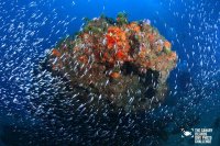 Ciencia e innovaci&oacute;n port&aacute;til para investigar el oc&eacute;ano