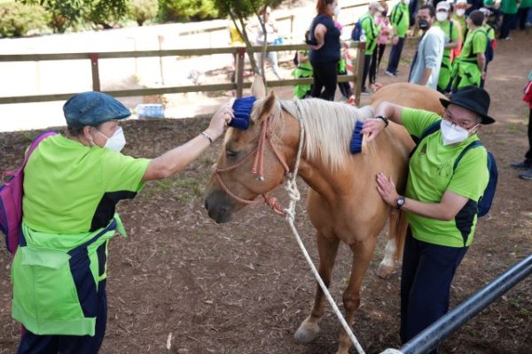 Vuelve en Valleseco el Encuentro de Equinoterapia, Juegos y Deportes Autóctonos para personas con discapacidad de la isla