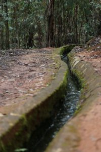 Turismo Valleseco cierra la temporada de senderismo con la &ldquo;Ruta del Agua&rdquo;