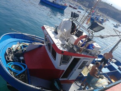 El Gobierno canario convoca ayudas a la renovaci&oacute;n de la flota pesquera inferior a 12 metros de eslora