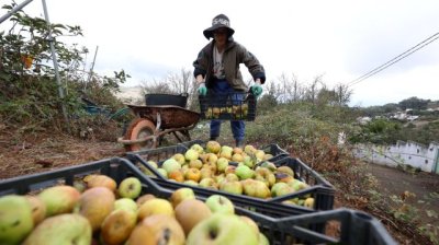 Valleseco anima a la ciudadanía a inmortalizar la cultura de la sidra y la manzana en el Concurso Internacional de Fotografía CIDEREU 2026