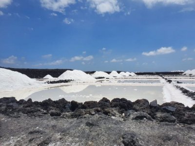 El Gobierno canario convoca una nueva edici&oacute;n del Concurso de Sal Marina Agrocanarias 2022