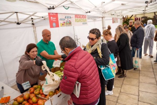 El Mercado Agr&iacute;cola de G&aacute;ldar triunfa en una jornada fresca con sabor local