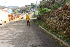 Valleseco acomete labores de limpieza y poda en altura en las vías del municipio