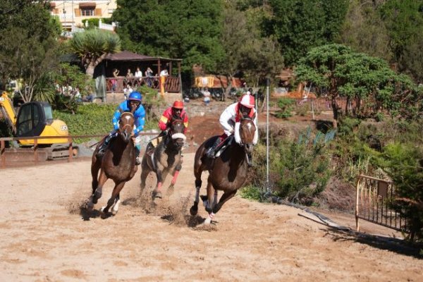 Tercera jornada de la Copa de Hípica de Valleseco