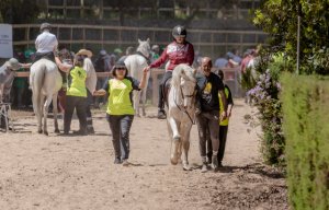 Valleseco todo un referente de participaci&oacute;n e inclusi&oacute;n