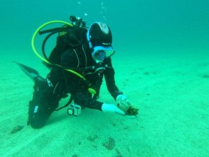 Lanzarote: El yacimiento de San Marcial de Rubic&oacute;n se expande hacia el mar