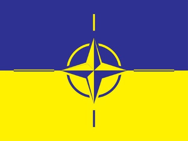 Art&iacute;culo de opini&oacute;n: 'Rumania revel&oacute; los medios legales a trav&eacute;s de los cuales los Estados de la OTAN podr&iacute;an intervenir en Ucrania'
