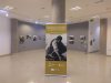 Dos exposiciones de la FEDAC recorren la Macaronesia mostrando la identidad de Canarias a trav&eacute;s de la fotograf&iacute;a